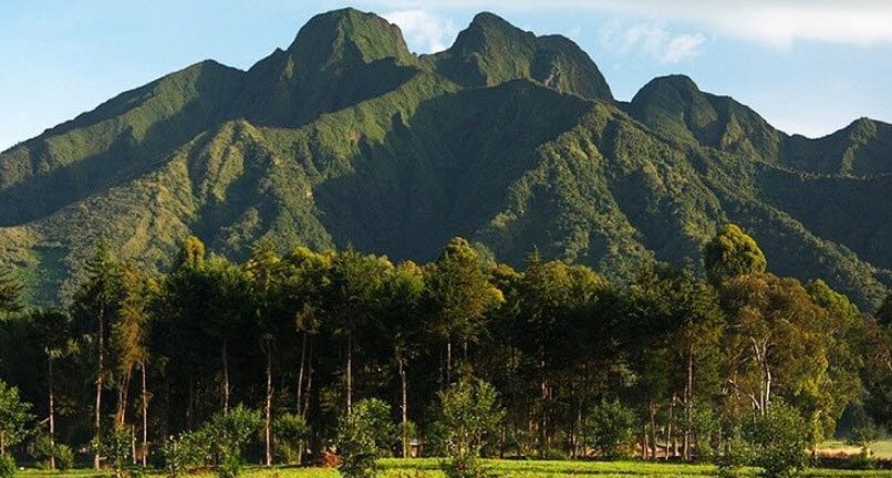 Volcanoes National Park, Musanze, Northern Province, Rwanda